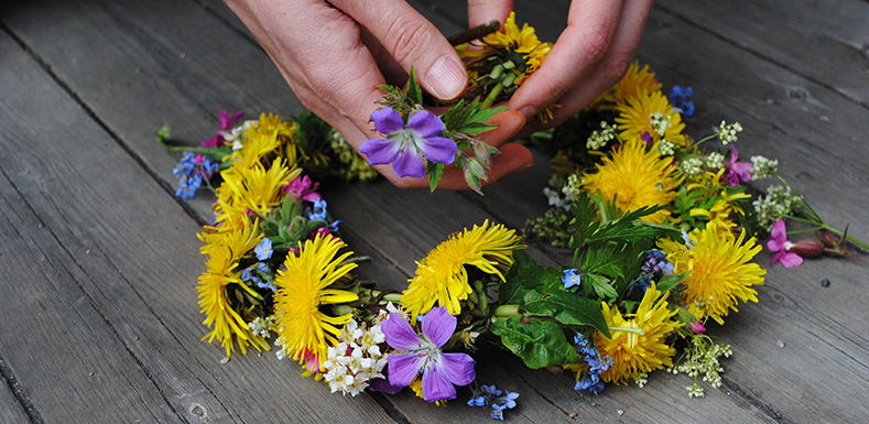 Händer som håller i en blomstrande midsommarkrans